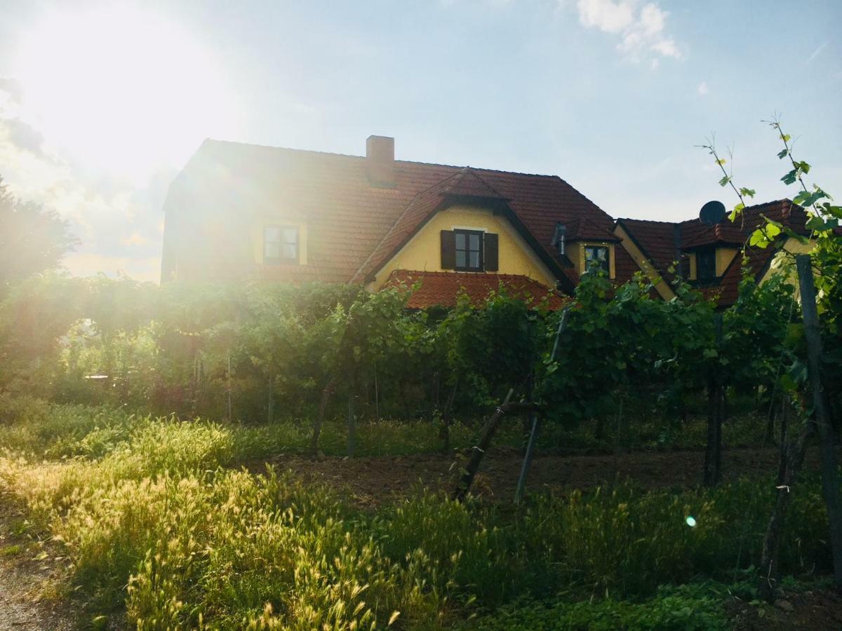 Landhaus Weinblick Rohrendorf bei Krems Exteriér fotografie