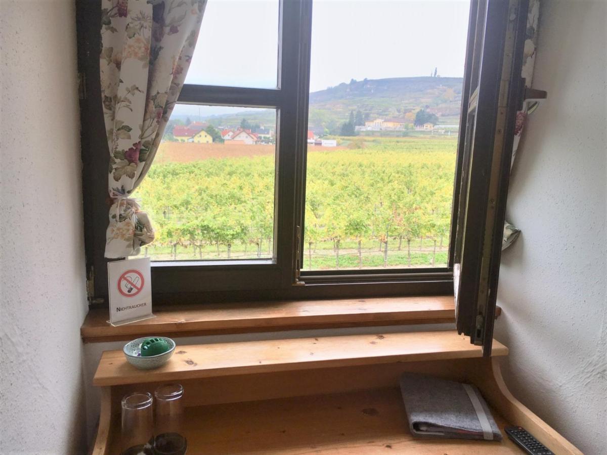 Landhaus Weinblick Rohrendorf bei Krems Exteriér fotografie